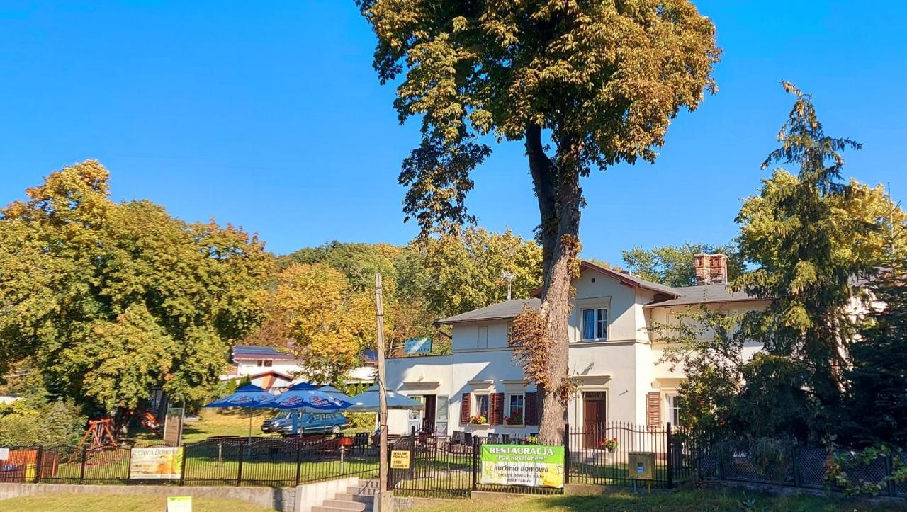 Pod Kasztanem Apartment Lubin  Екстериор снимка