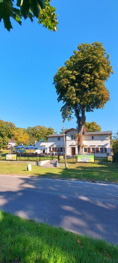 Pod Kasztanem Apartment Lubin  Екстериор снимка