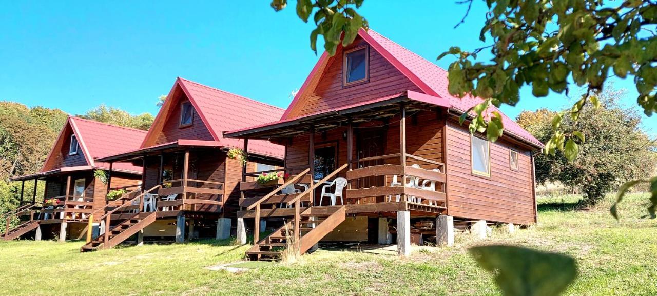 Pod Kasztanem Apartment Lubin  Екстериор снимка
