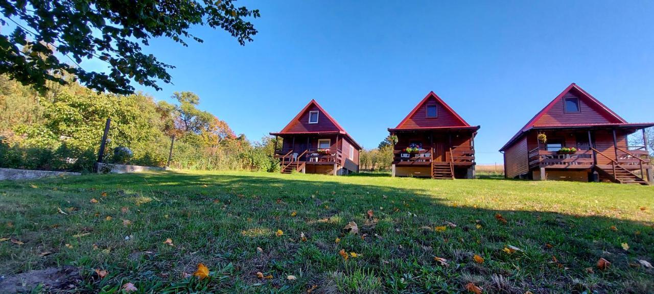 Pod Kasztanem Apartment Lubin  Екстериор снимка